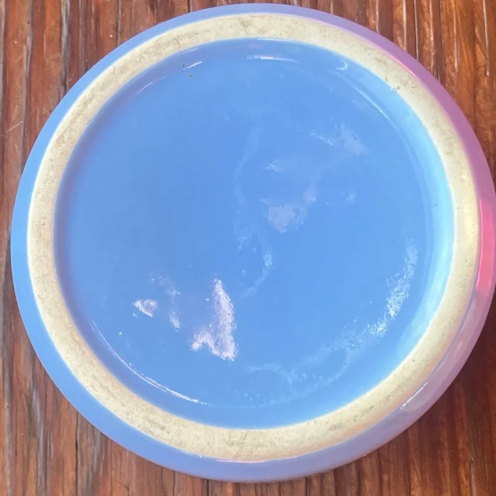 Heavy duty Stoneware Ramekin / Small Pet Dish Pet Hamster Reptile Bowls, blue